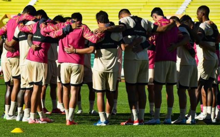 CALMA EN EL PLANTEL 'ATIGRADO': PAGARON UN MES DE SUELDO