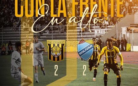 UN TIGRE RENOVADO CON SEÑALES DE GARRA