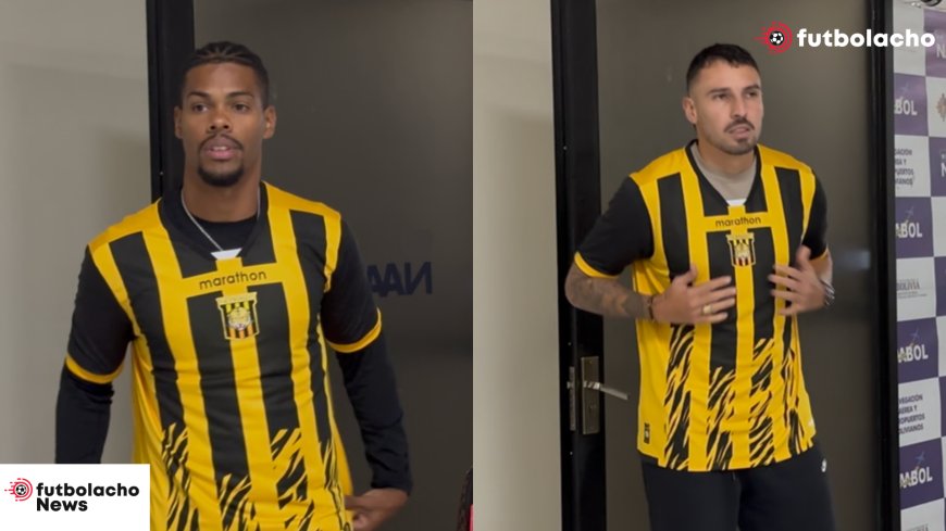 VENTURA Y MOYA, NUEVOS REFEURZOS ATIGRADOS