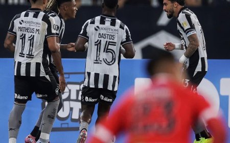 NACIONAL POTOSÍ CAYÓ ANTE BOTAFOGO Y QUEDÓ ELIMINADO DE LA COPA LIBERTADORES