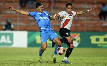 DIVISIÓN PROFESIONAL 2026: FORMATO DE LIGA Y COPA