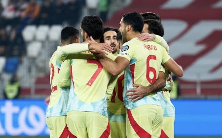 ESPAÑA PRESENTÓ SU CONVOCATORIA PARA EL MUNDIAL SIN JUGADORES DEL REAL MADRID