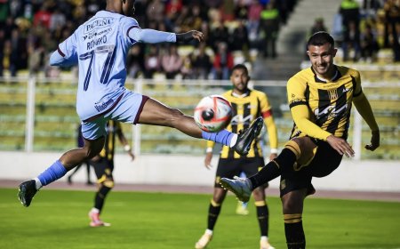 LA FBF SUSPENDIÓ LAS FECHAS 11, 12 Y 13 DE LA DIVISIÓN PROFESIONAL