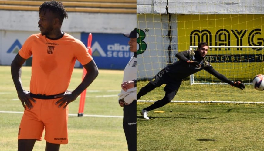 THE STRONGEST YA PIENSA EN BLOOMING CON LA MIRA PUESTA EN LA PUNTA